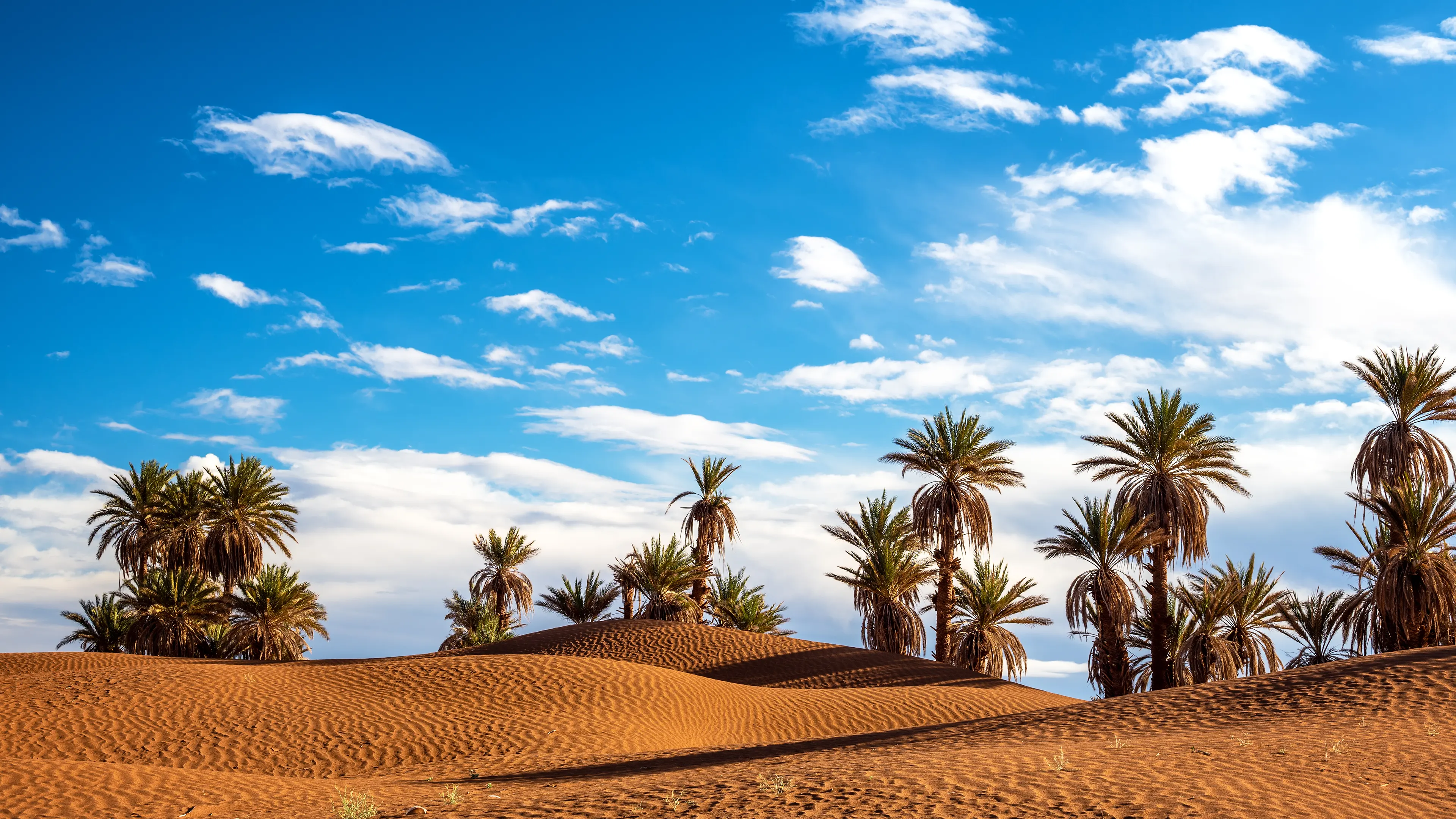 Tunézia – Észak-Afrika mediterrán kapuja