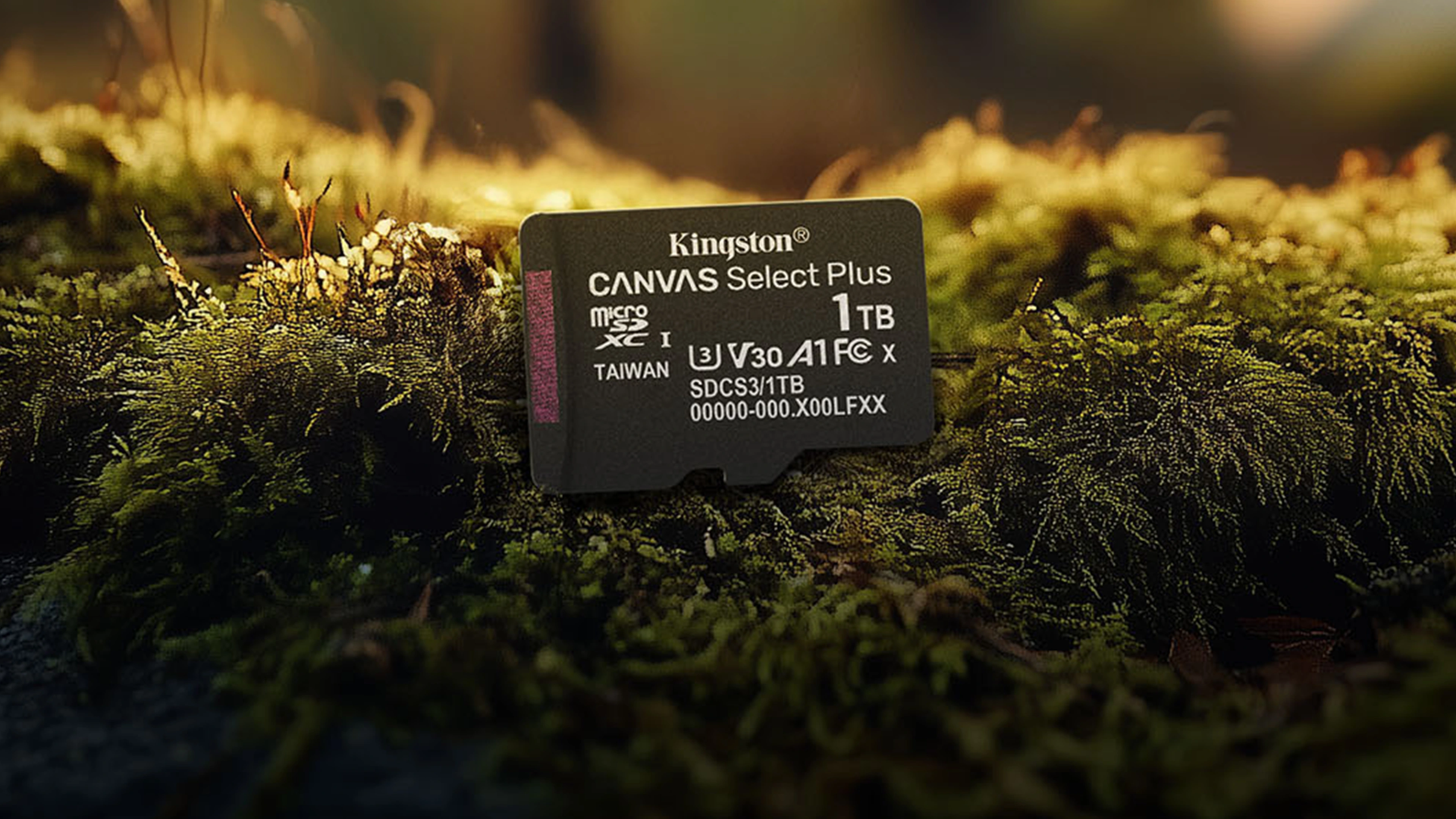 Kingston Canvas Select Plus Gen3 sorozat